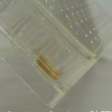 写真 エラスチンゲルキット