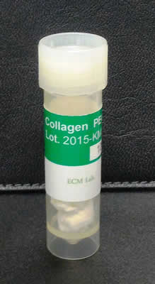 写真 PECシリーズ