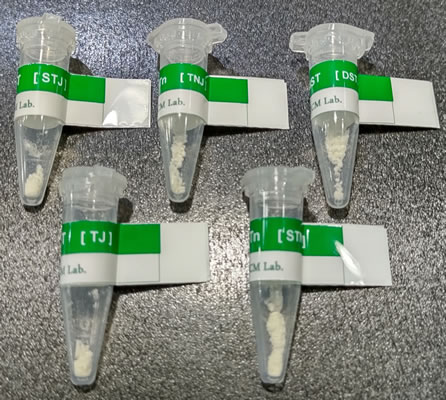 写真 糖鎖認識ジャカリン試薬