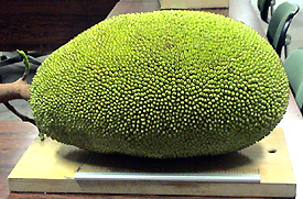 ジャックフルーツ